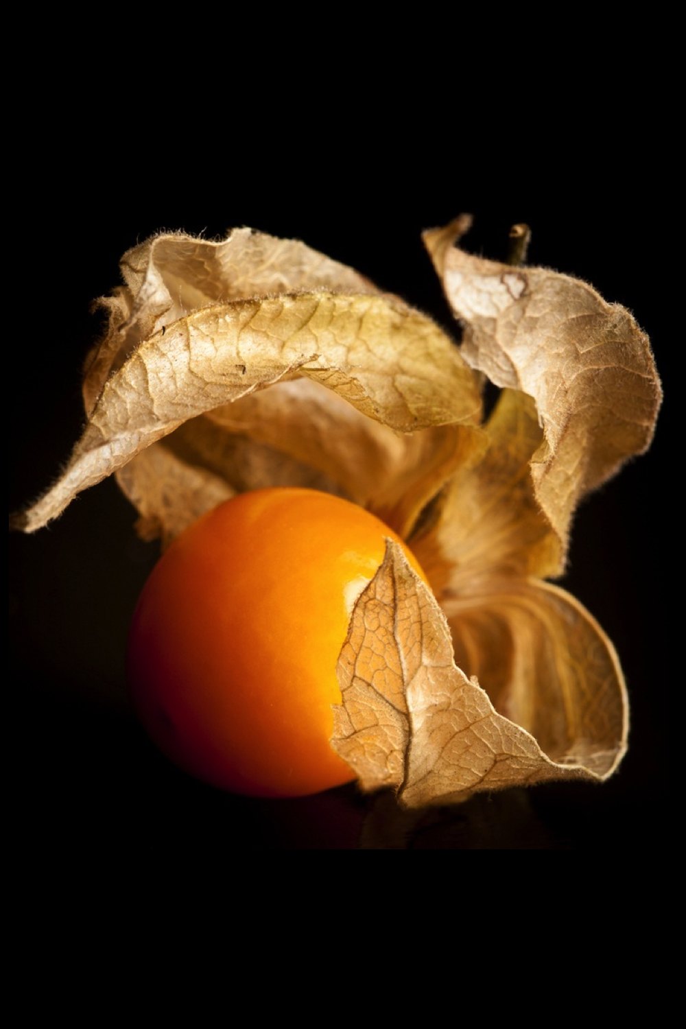 Freeze-dried goldenberry